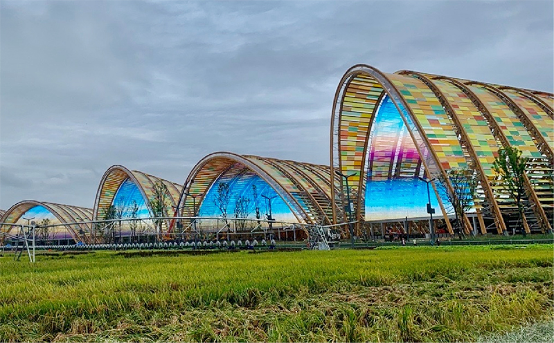 bevictor伟德官网-韦德官方网站